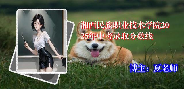 湘西民族职业技术学院2025年中考录取分数线