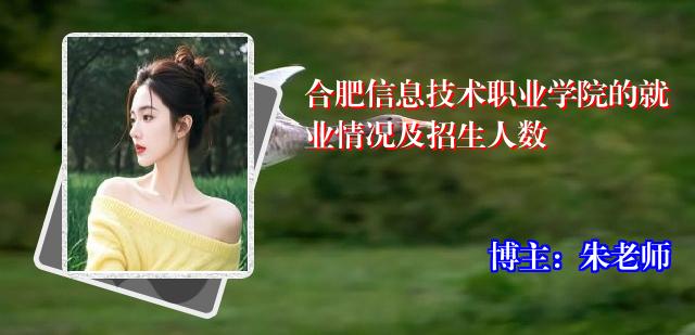 合肥信息技术职业学院的就业情况及招生人数