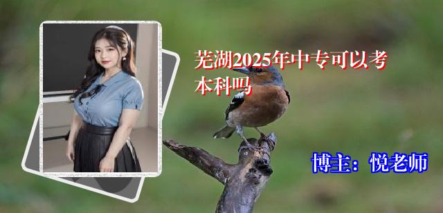 芜湖2025年中专可以考本科吗