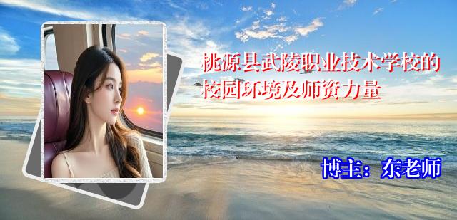桃源县武陵职业技术学校的校园环境及师资力量