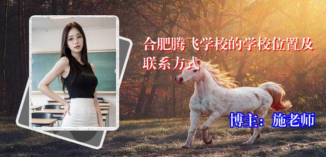 合肥腾飞学校的学校位置及联系方式