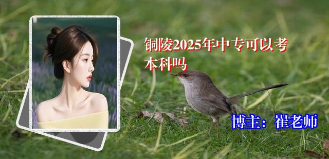 铜陵2025年中专可以考本科吗