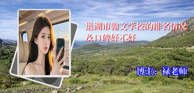 巢湖市翰文学校的排名情况及口碑好不好