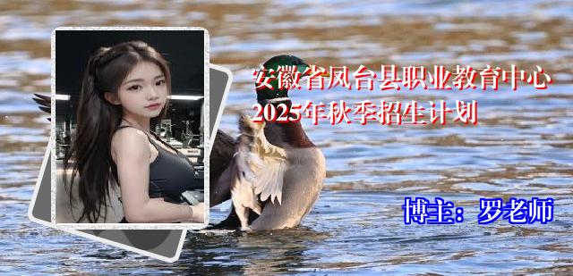 安徽省凤台县职业教育中心2025年秋季招生计划