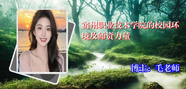 宿州职业技术学院的校园环境及师资力量