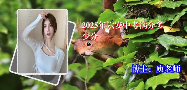 2025年六安中考满分多少分