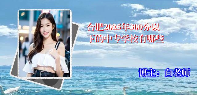 合肥2025年300分以下的中专学校有哪些