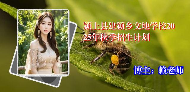 颍上县建颍乡文地学校2025年秋季招生计划