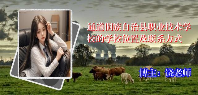 通道侗族自治县职业技术学校的学校位置及联系方式