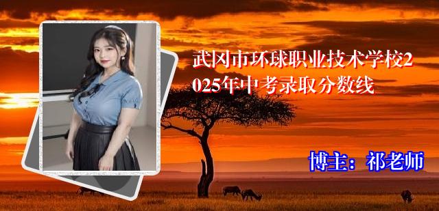 武冈市环球职业技术学校2025年中考录取分数线