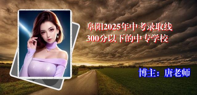 阜阳2025年中考录取线300分以下的中专学校