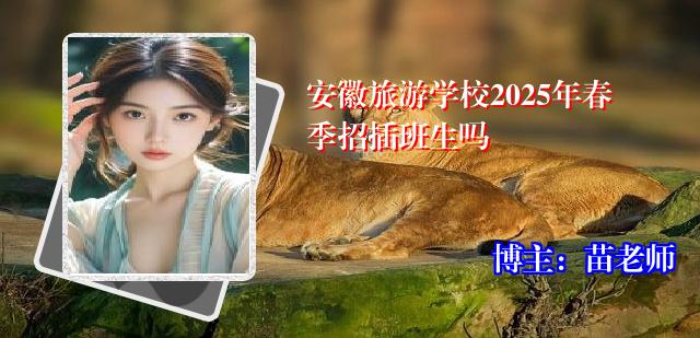 安徽旅游学校2025年春季招插班生吗