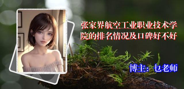张家界航空工业职业技术学院的排名情况及口碑好不好