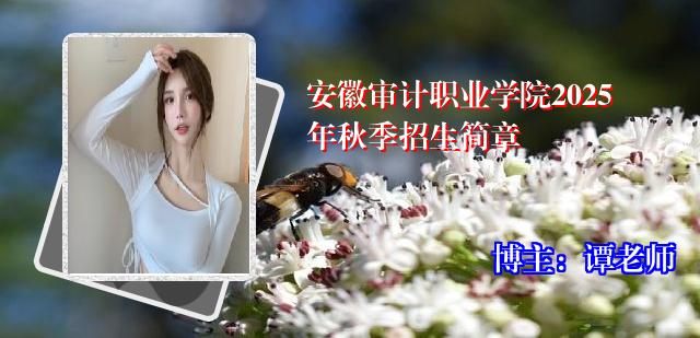 安徽审计职业学院2025年秋季招生简章