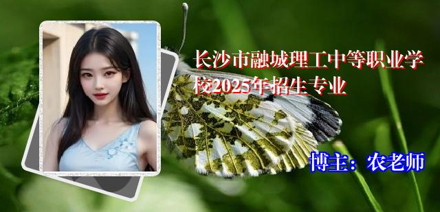 长沙市融城理工中等职业学校2025年招生专业