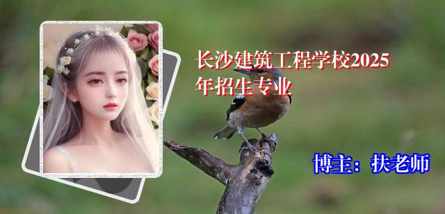 长沙建筑工程学校2025年招生专业