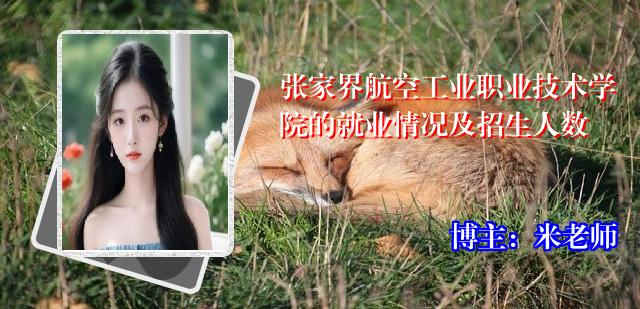 张家界航空工业职业技术学院的就业情况及招生人数