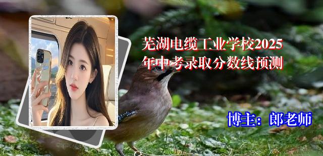 芜湖电缆工业学校2025年中考录取分数线预测