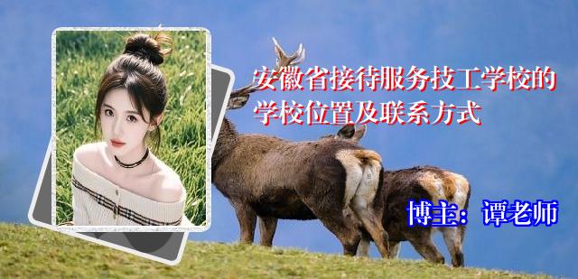 安徽省接待服务技工学校的学校位置及联系方式