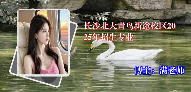 长沙北大青鸟新途校区2025年招生专业