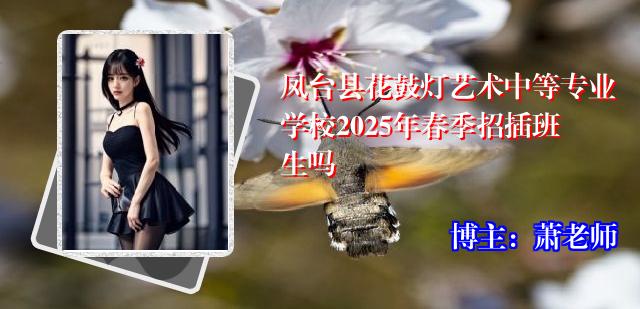 凤台县花鼓灯艺术中等专业学校2025年春季招插班生吗