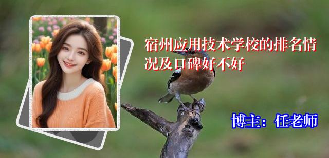 宿州应用技术学校的排名情况及口碑好不好
