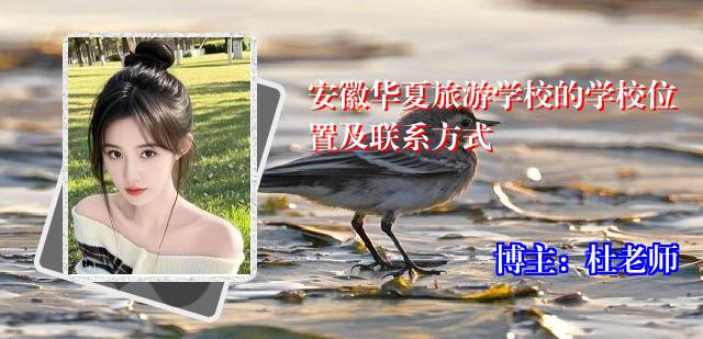 安徽华夏旅游学校的学校位置及联系方式