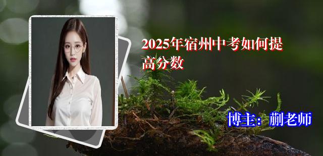 2025年宿州中考如何提高分数