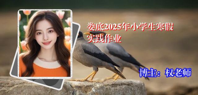 娄底2025年小学生寒假实践作业