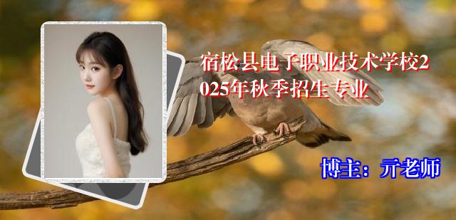 宿松县电子职业技术学校2025年秋季招生专业