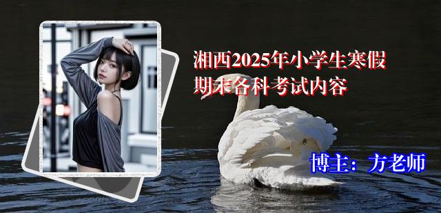 湘西2025年小学生寒假期末各科考试内容