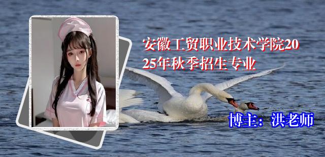 安徽工贸职业技术学院2025年秋季招生专业