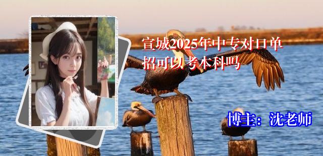 宣城2025年中专对口单招可以考本科吗
