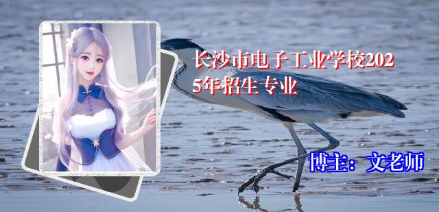 长沙市电子工业学校2025年招生专业
