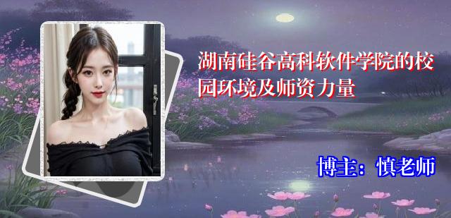 湖南硅谷高科软件学院的校园环境及师资力量