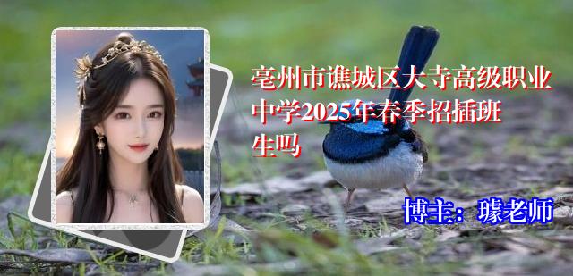 亳州市谯城区大寺高级职业中学2025年春季招插班生吗