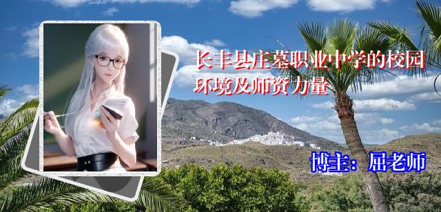 长丰县庄墓职业中学的校园环境及师资力量