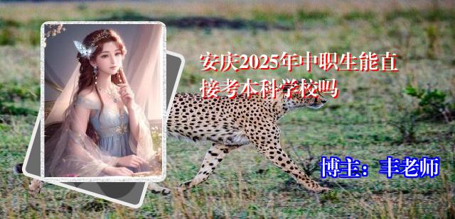 安庆2025年中职生能直接考本科学校吗