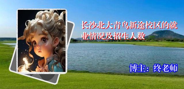 长沙北大青鸟新途校区的就业情况及招生人数
