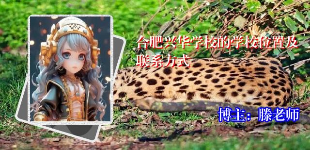 合肥兴华学校的学校位置及联系方式