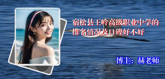 宿松县王岭高级职业中学的排名情况及口碑好不好