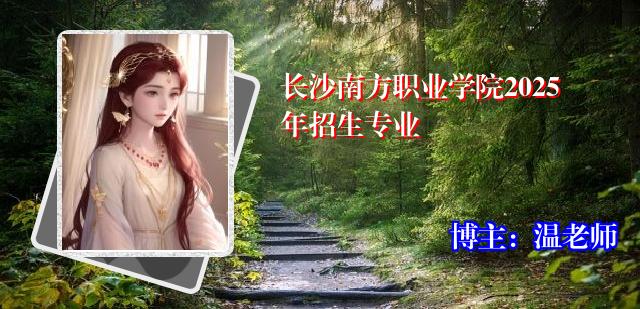 长沙南方职业学院2025年招生专业