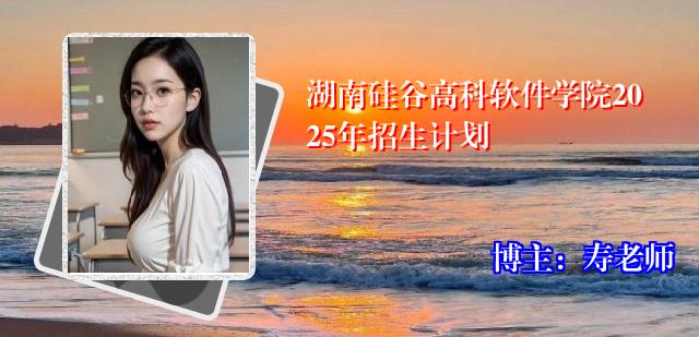 湖南硅谷高科软件学院2025年招生计划
