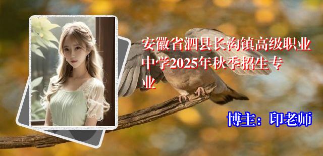 安徽省泗县长沟镇高级职业中学2025年秋季招生专业