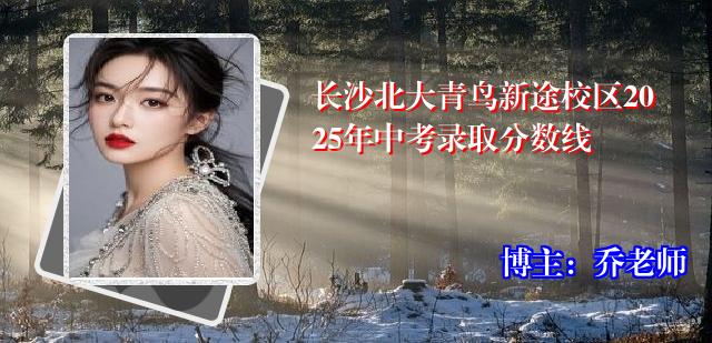 长沙北大青鸟新途校区2025年中考录取分数线
