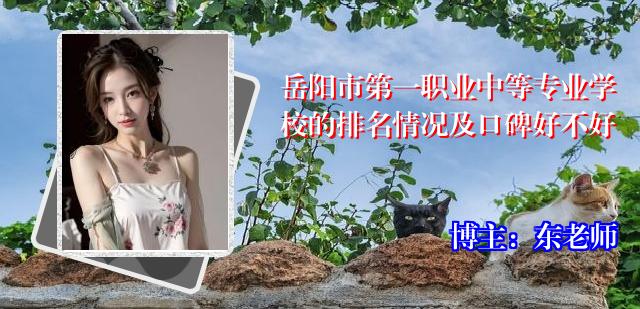 岳阳市第一职业中等专业学校的排名情况及口碑好不好