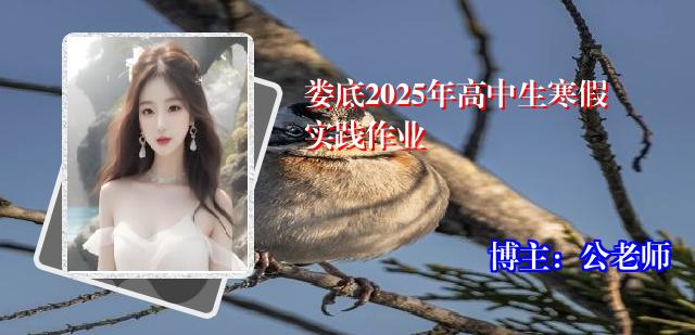 娄底2025年高中生寒假实践作业