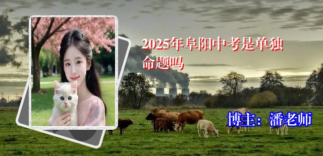 2025年阜阳中考是单独命题吗