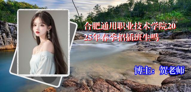 合肥通用职业技术学院2025年春季招插班生吗