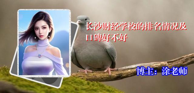 长沙财经学校的排名情况及口碑好不好
